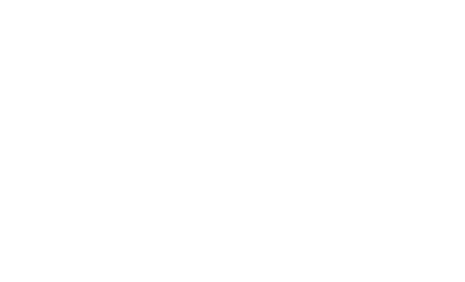 ZOE DESIGNS FORGE